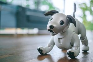 Робособака Sony aibo нового поколения стала более естественной и умной»