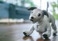 Робособака Sony aibo нового поколения стала более естественной и умной»